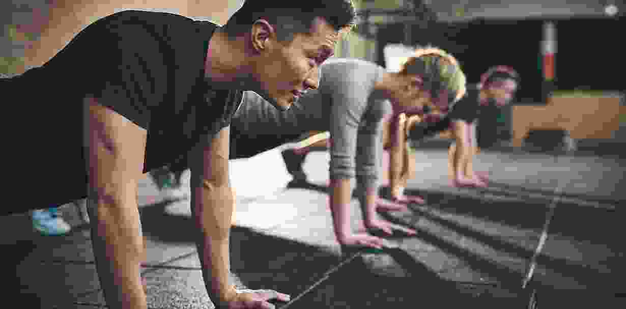 Cras tristique purus non lacus