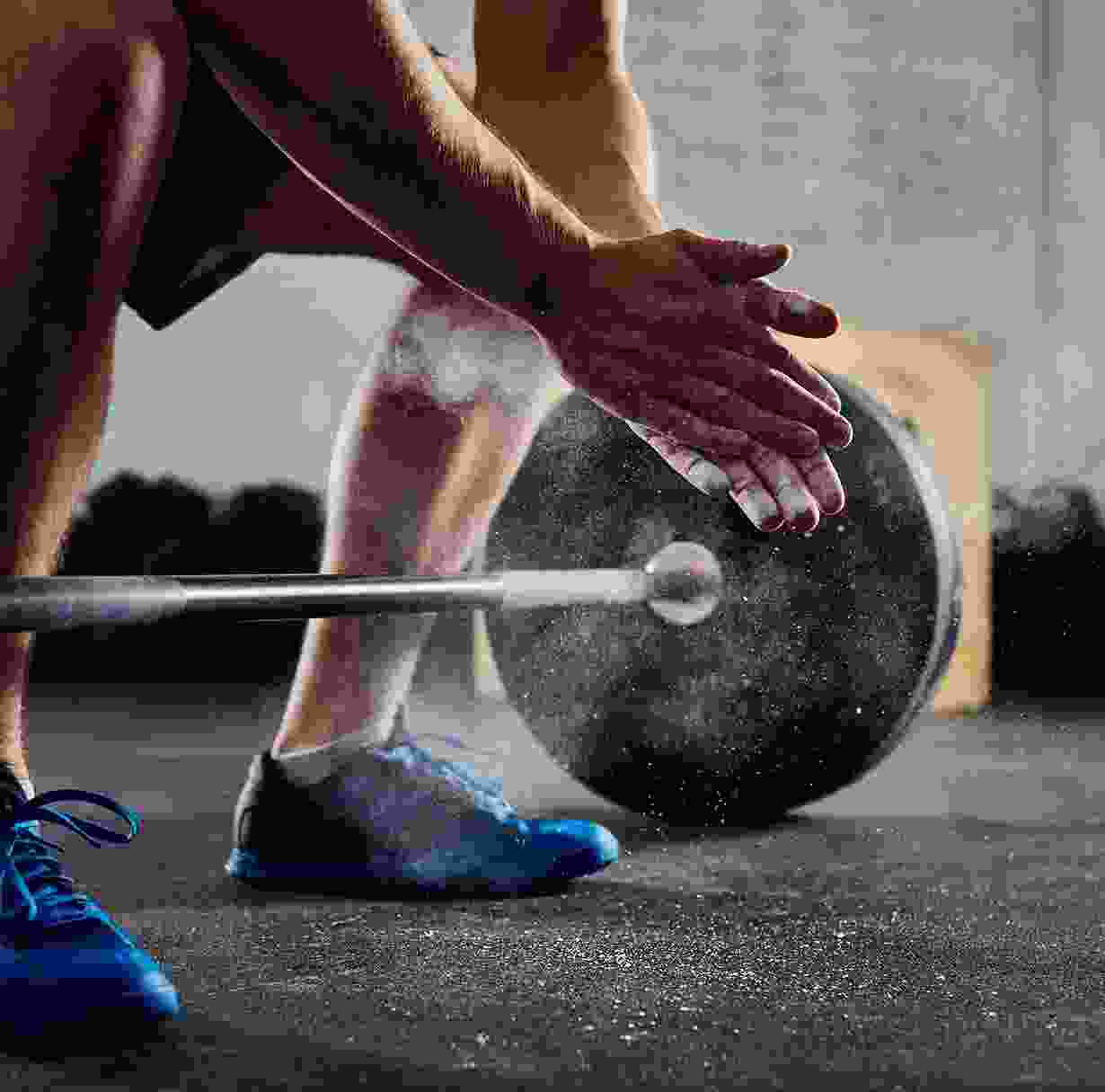 Donec in maximus augue